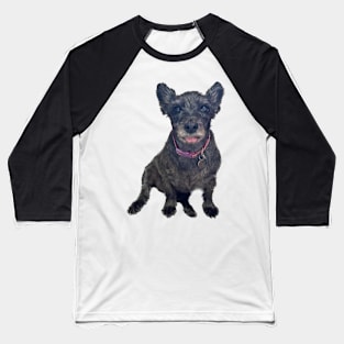 The prettiest dog ever! Baseball T-Shirt